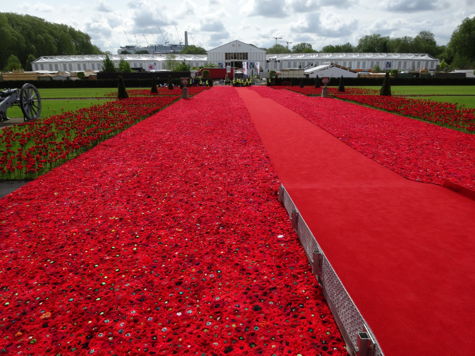 photo - red carpet walkway surrounded by knitted poppies