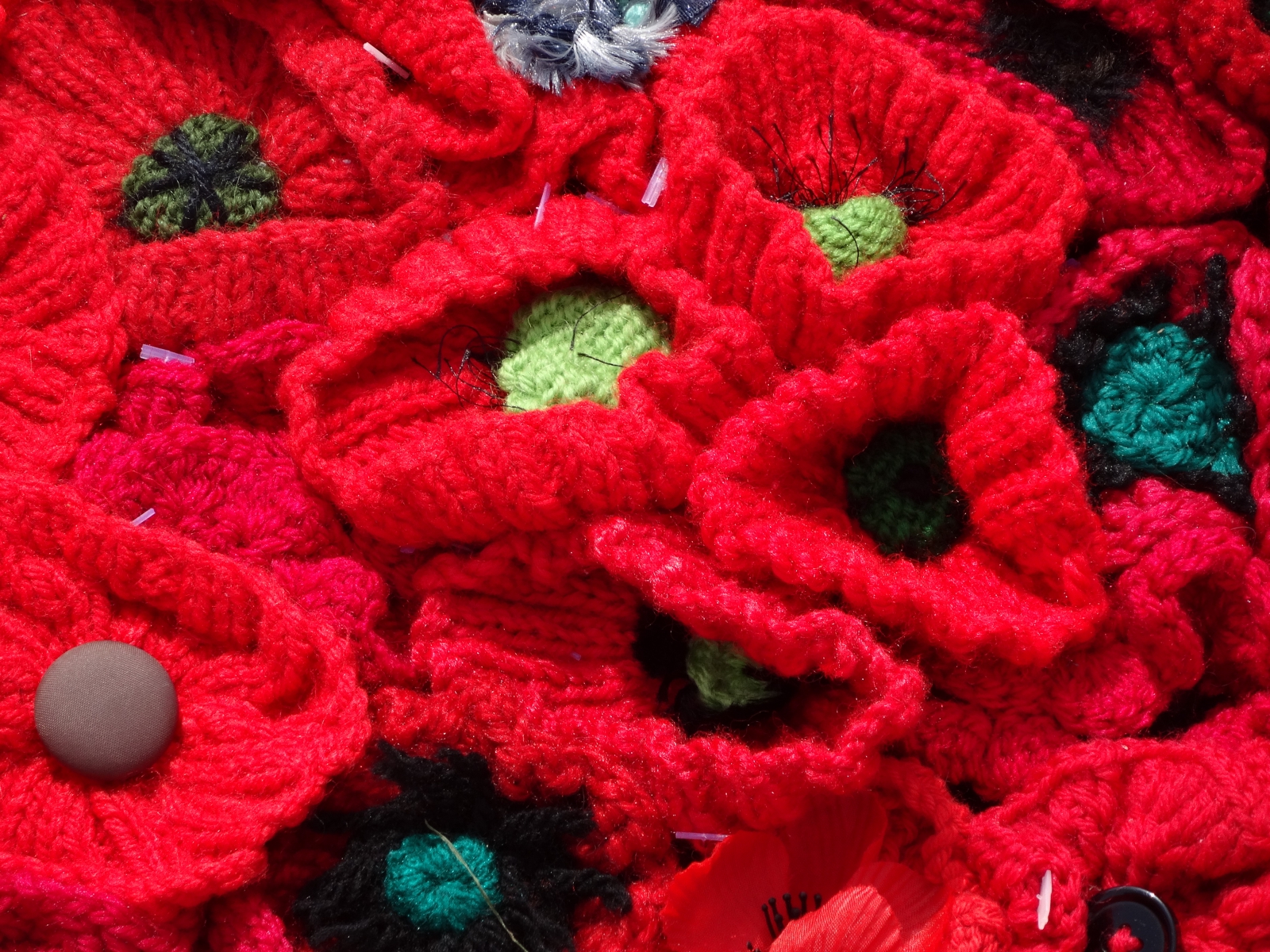 photo - closeup of knitted poppies